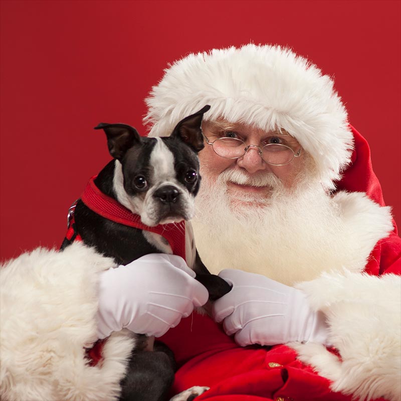 Pet Photos with Santa and our giant Christmas Tree! NorthWest